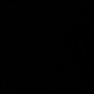 Meet your Posher, Dionna